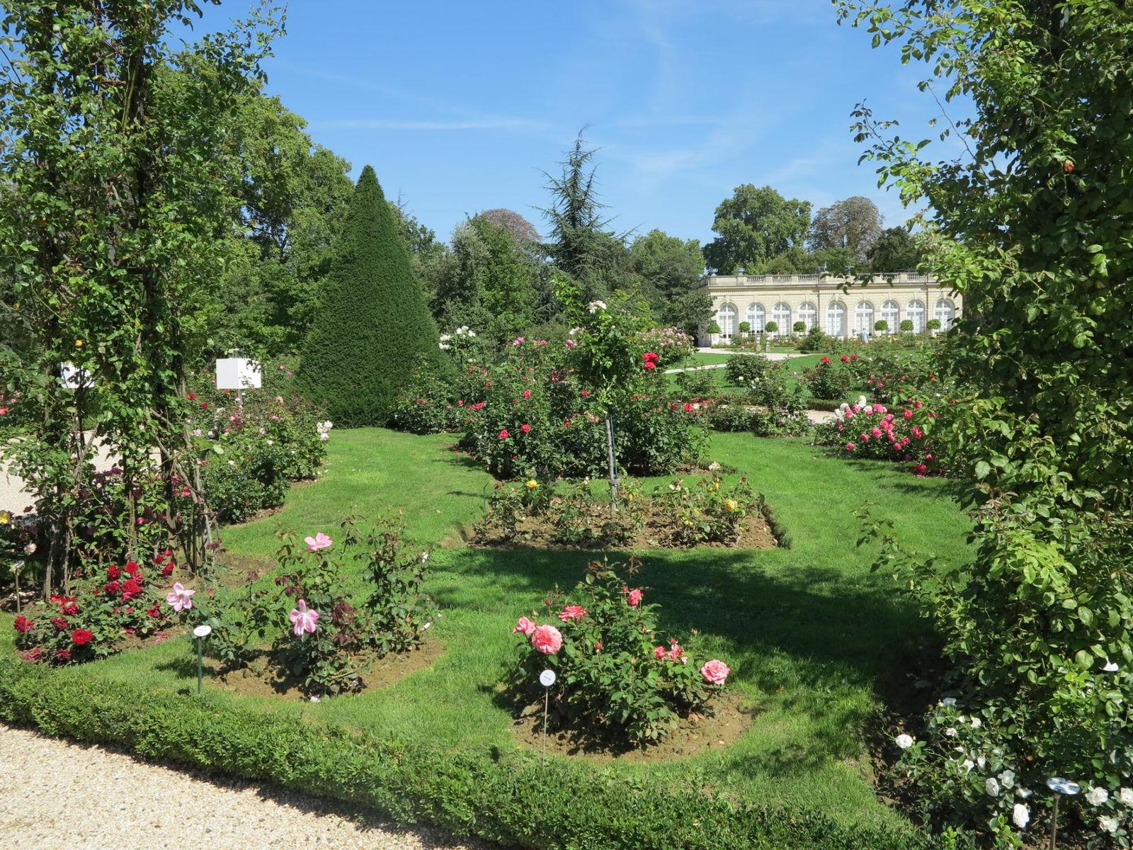 Bois de Boulogne