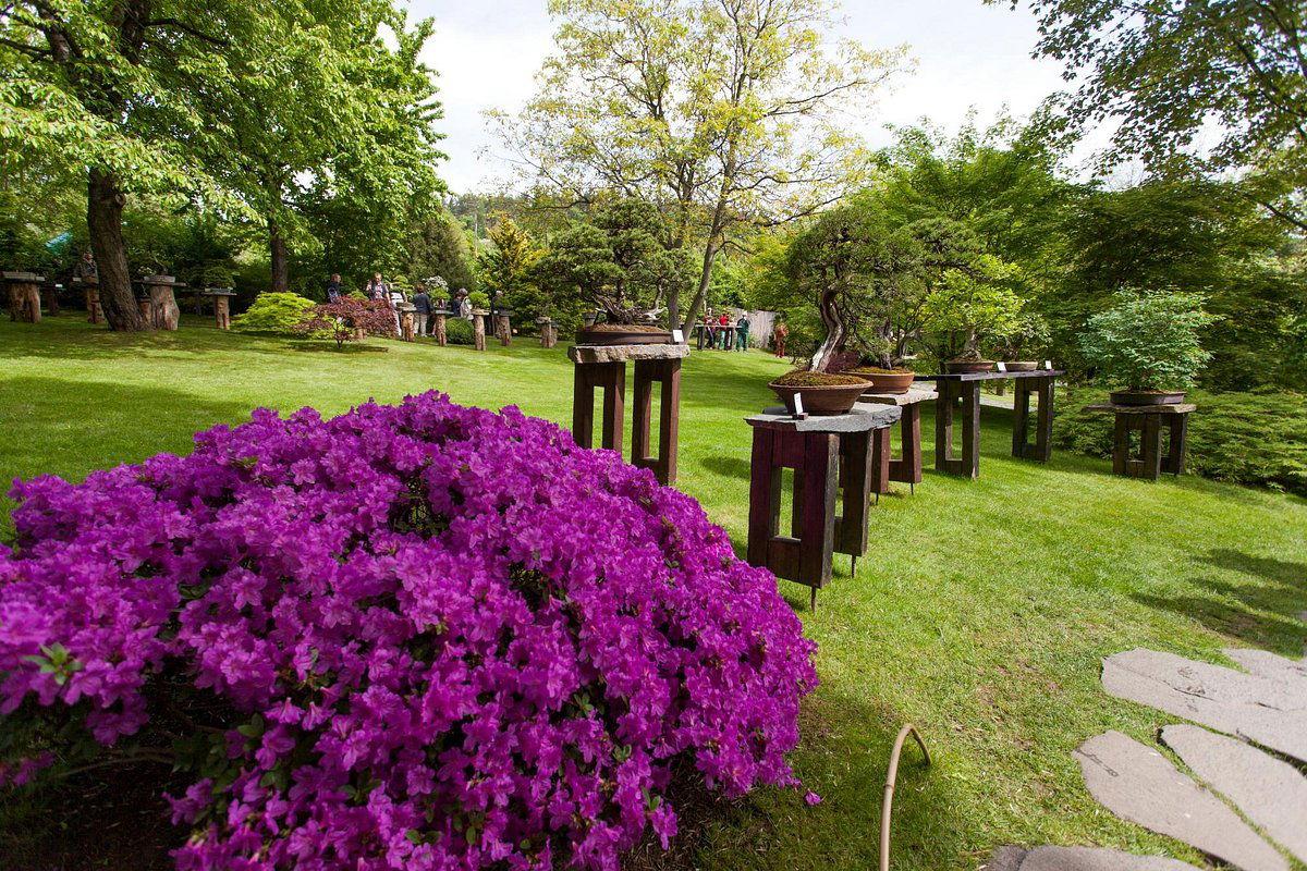 https://travelwithme.b-cdn.net/images/place/2a013d3a-ac3b-4ed1-82cb-99240a1564b0.jpg