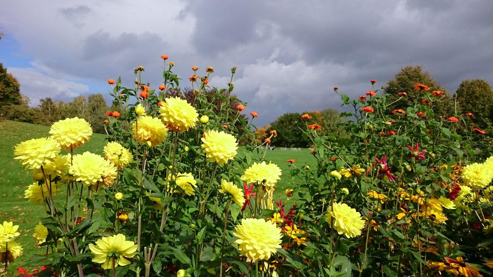 Britzer Garten