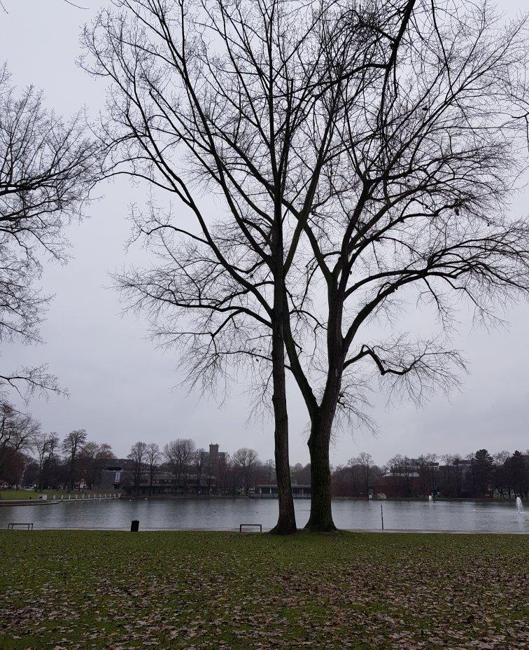 Aachener Weiher