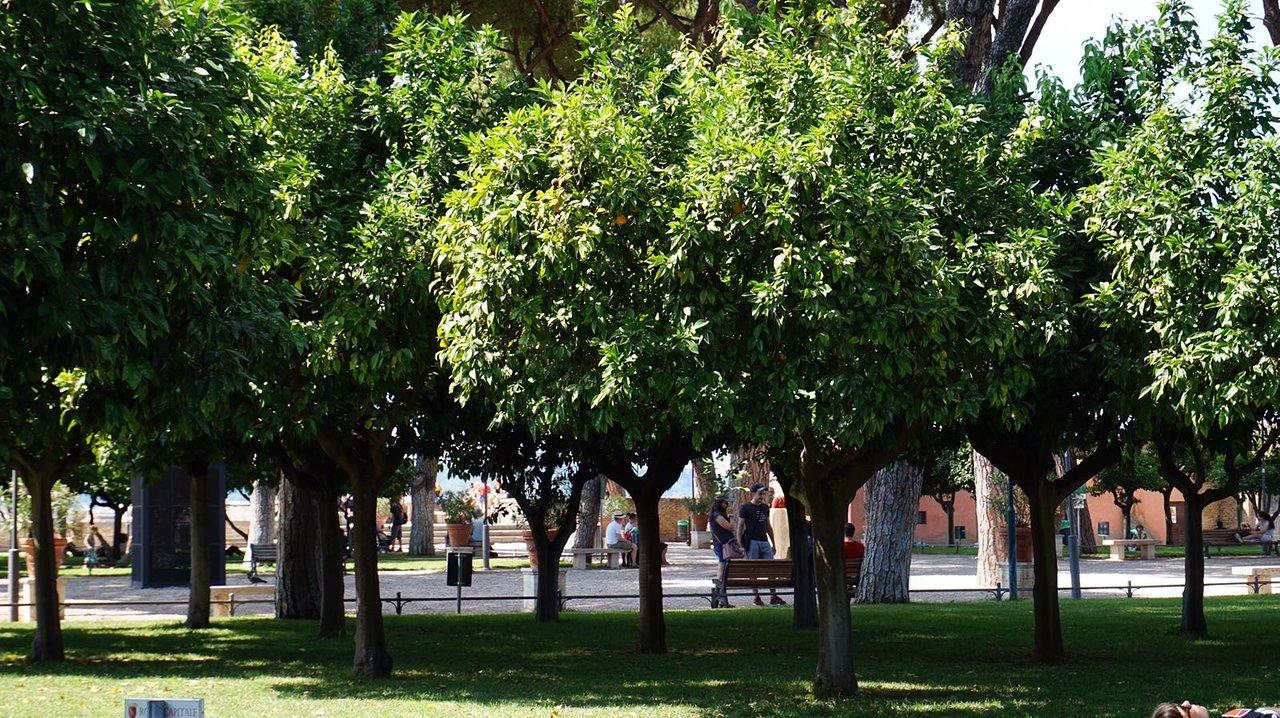 Orange Garden (Giardino degli Aranci)