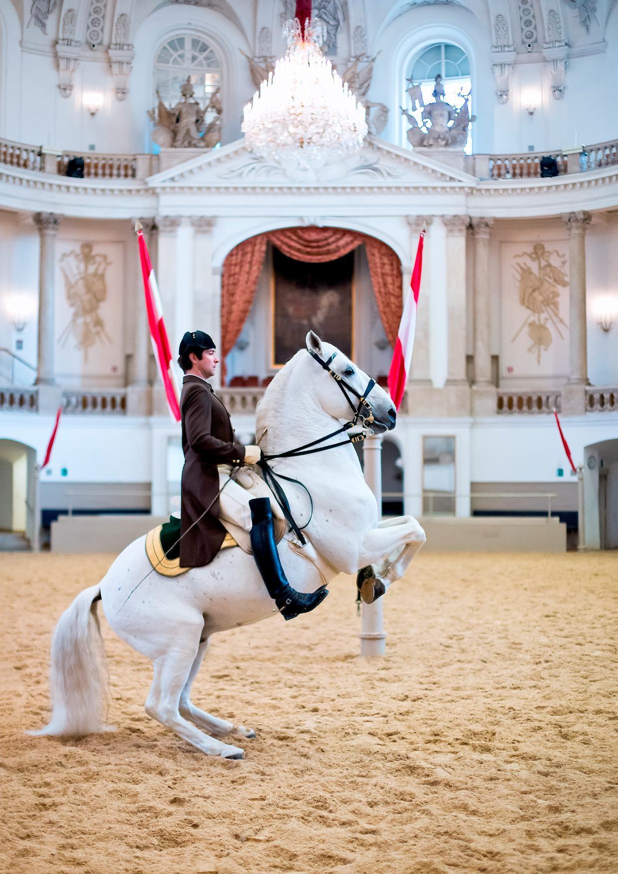 Spanish Riding School