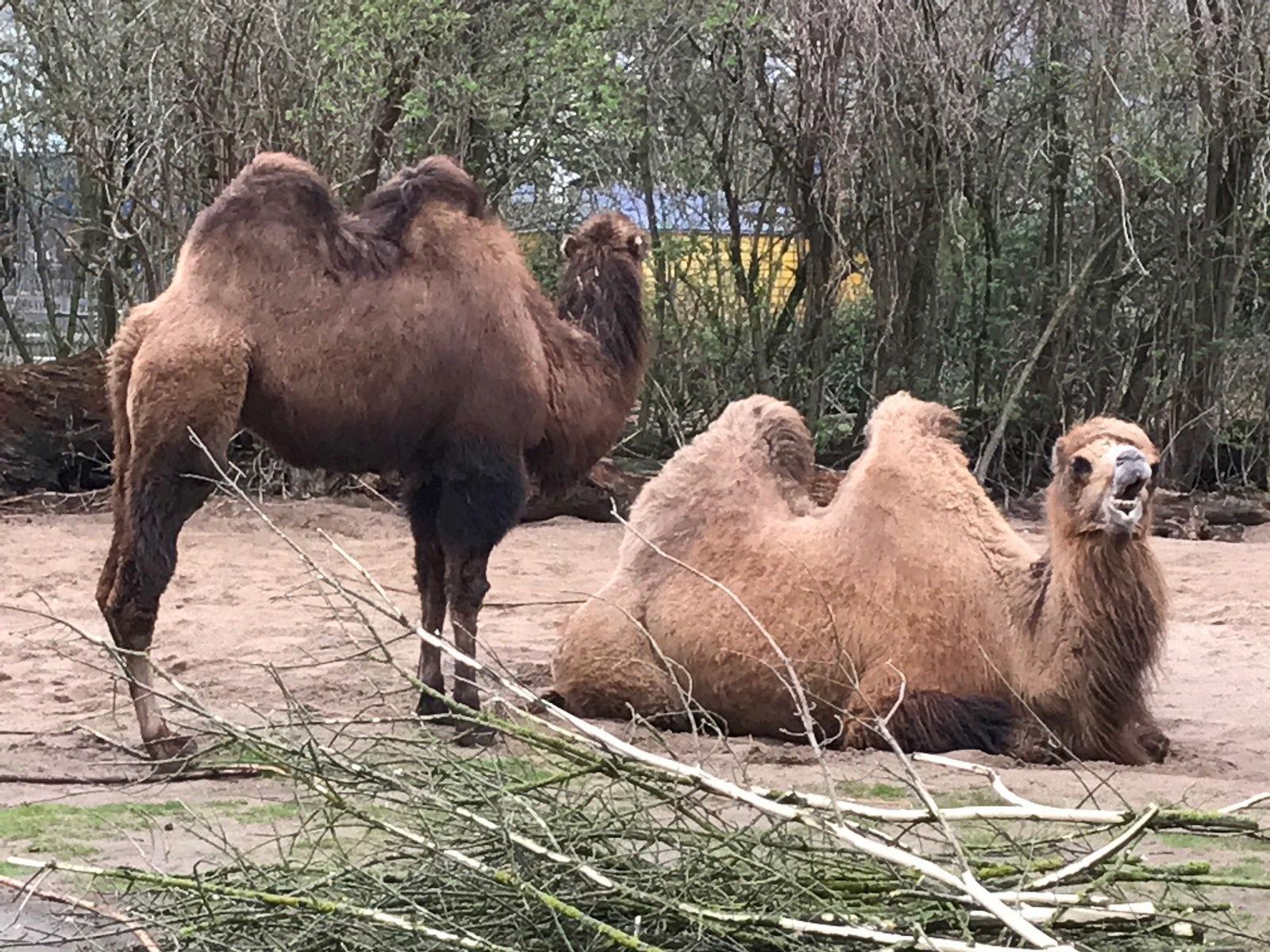 Cologne Zoo