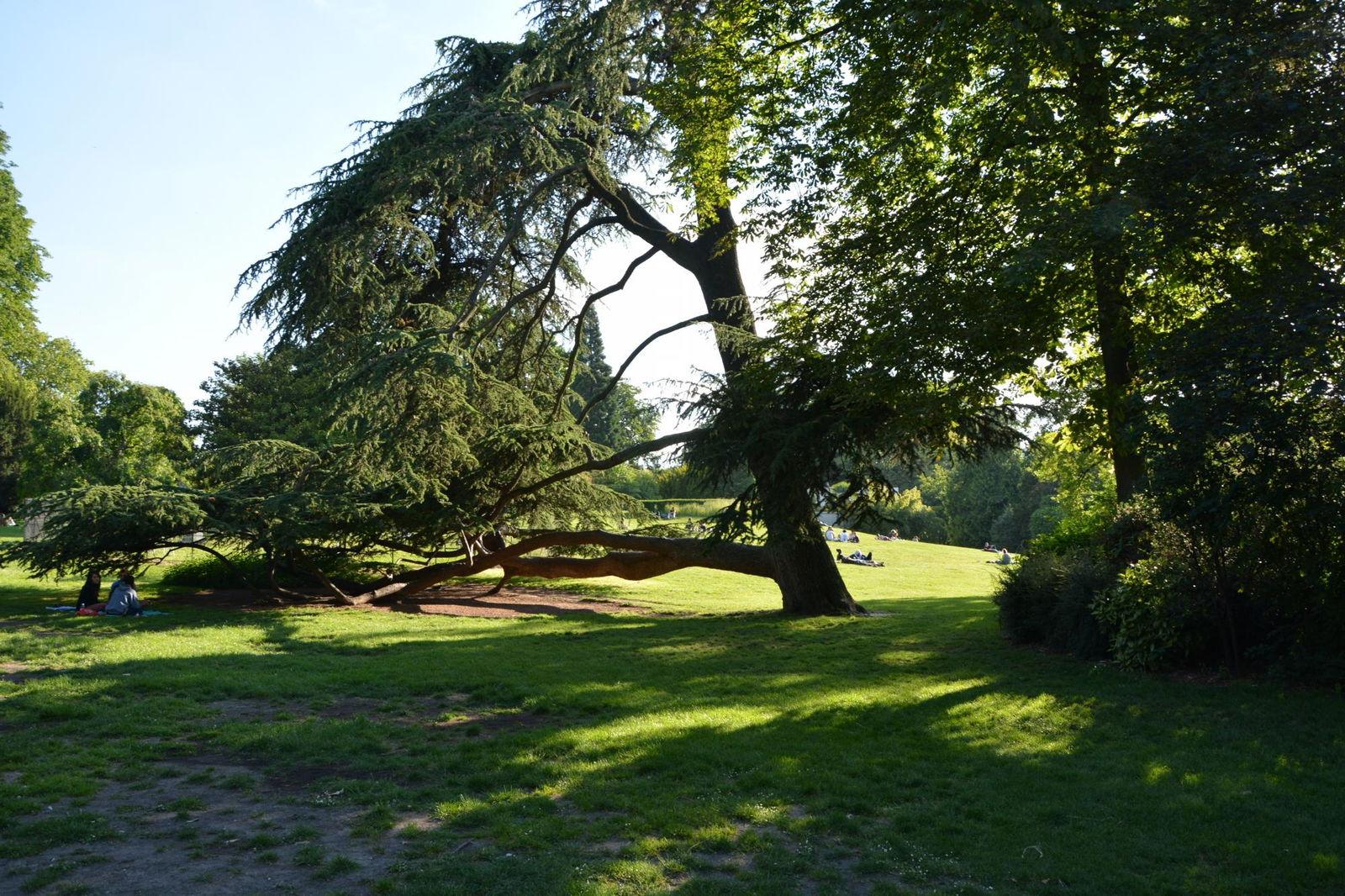 Parc Montsouris