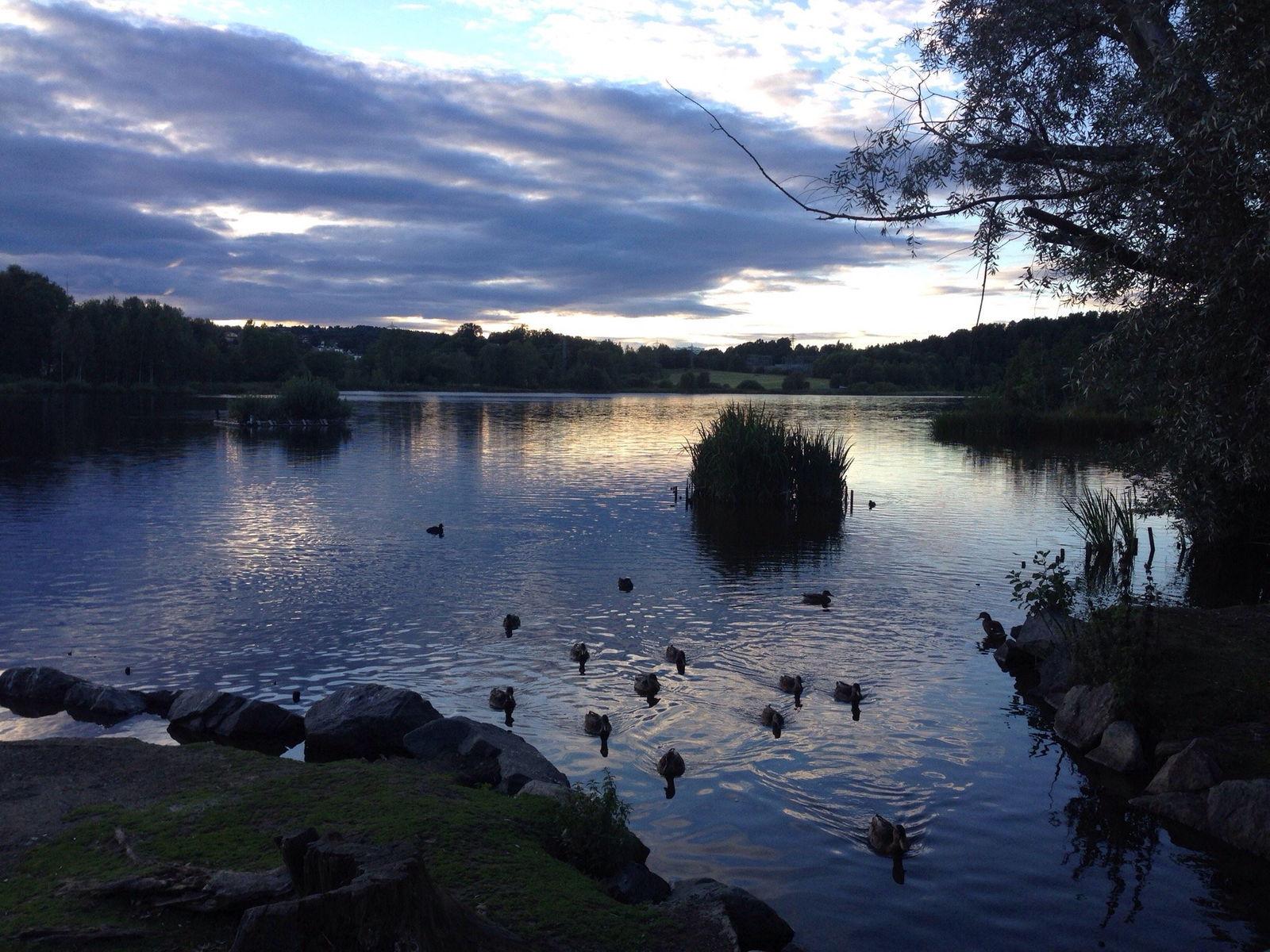 Østensjøvannet Nature Reserve