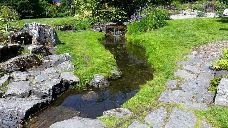 Oslo Botanical Garden