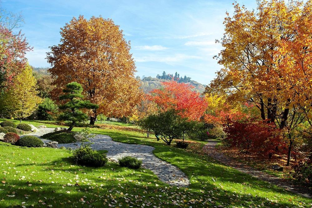 https://travelwithme.b-cdn.net/images/place/d152cf.jpg