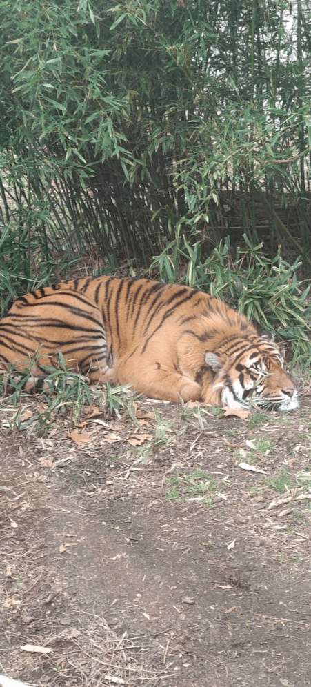 Wroclaw Zoo & Afrykarium